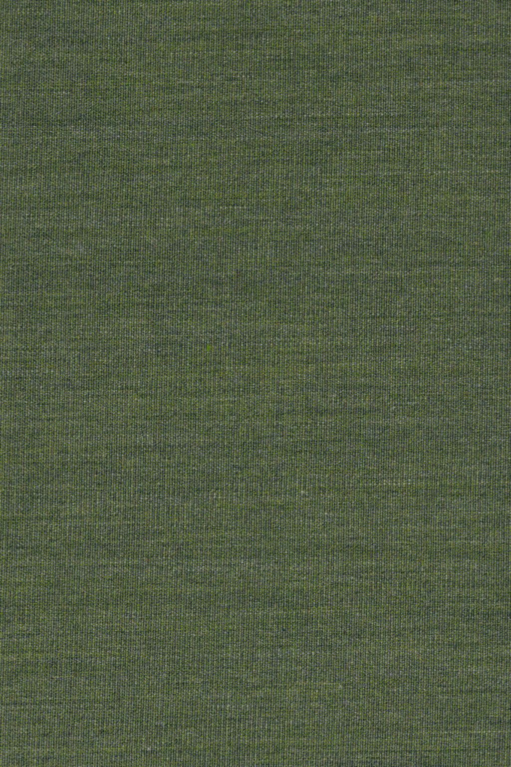Canvas 1721
